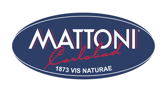 Logo Mattoni